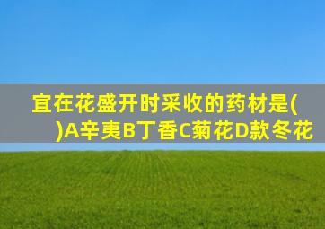 宜在花盛开时采收的药材是( )A辛夷B丁香C菊花D款冬花